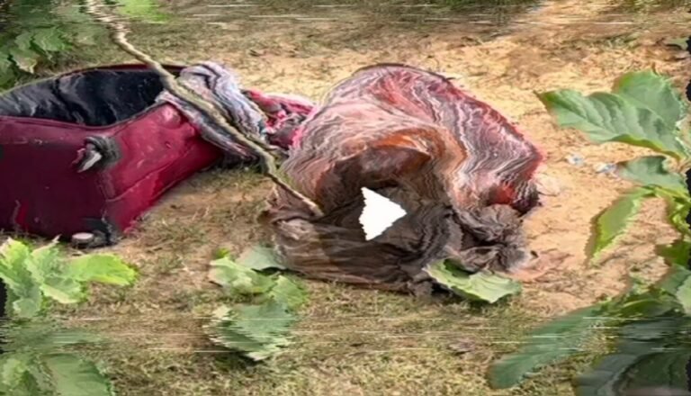 Chandauli news : बंद सुटकेश में मिला महिला शव, हत्या कर जंगल मे फेंके जाने की आशंका
