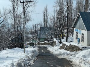 Snowfall in Gulmarg 