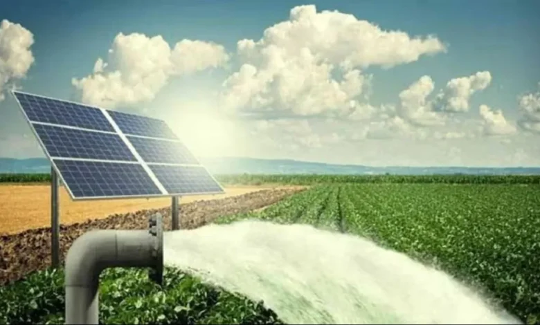 Solar Pump Scheme: सरकार किसानों को आधे से भी कम कीमत पर खेत में सोलर पंप लगवाने का दे रही मौका, ऐसे करें आवेदन