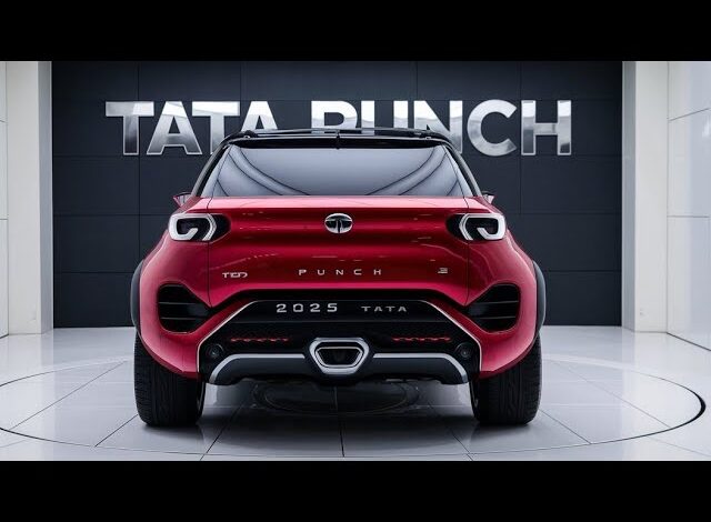 tata punch